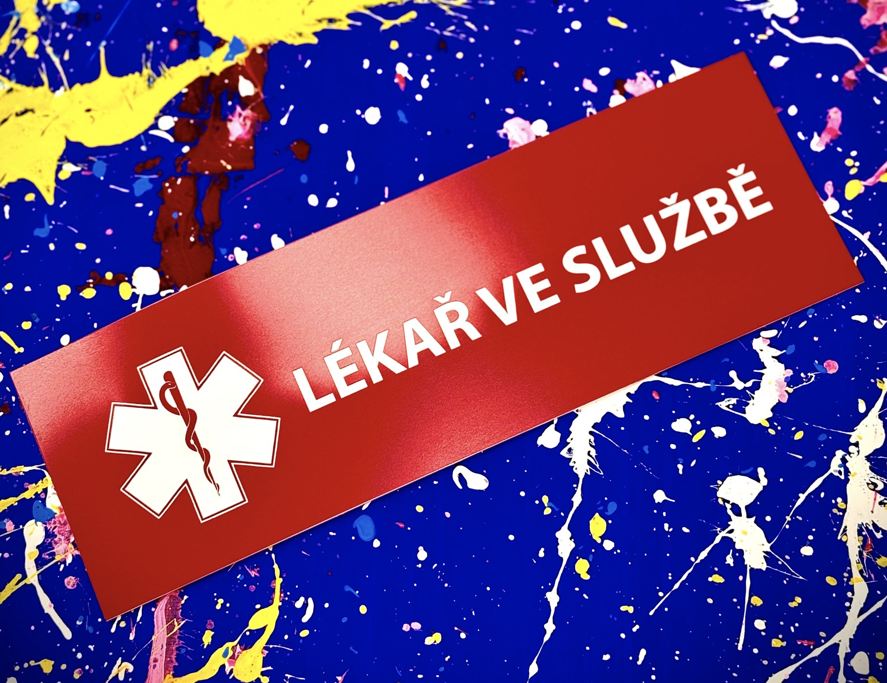 Snímek obrazovky 2024-08-25 v 13.24.30